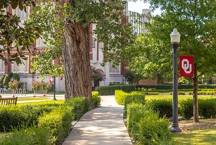 A campus beauty shot by the Bizzell Memorial Library