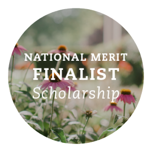National Merit Finalist Scholarship