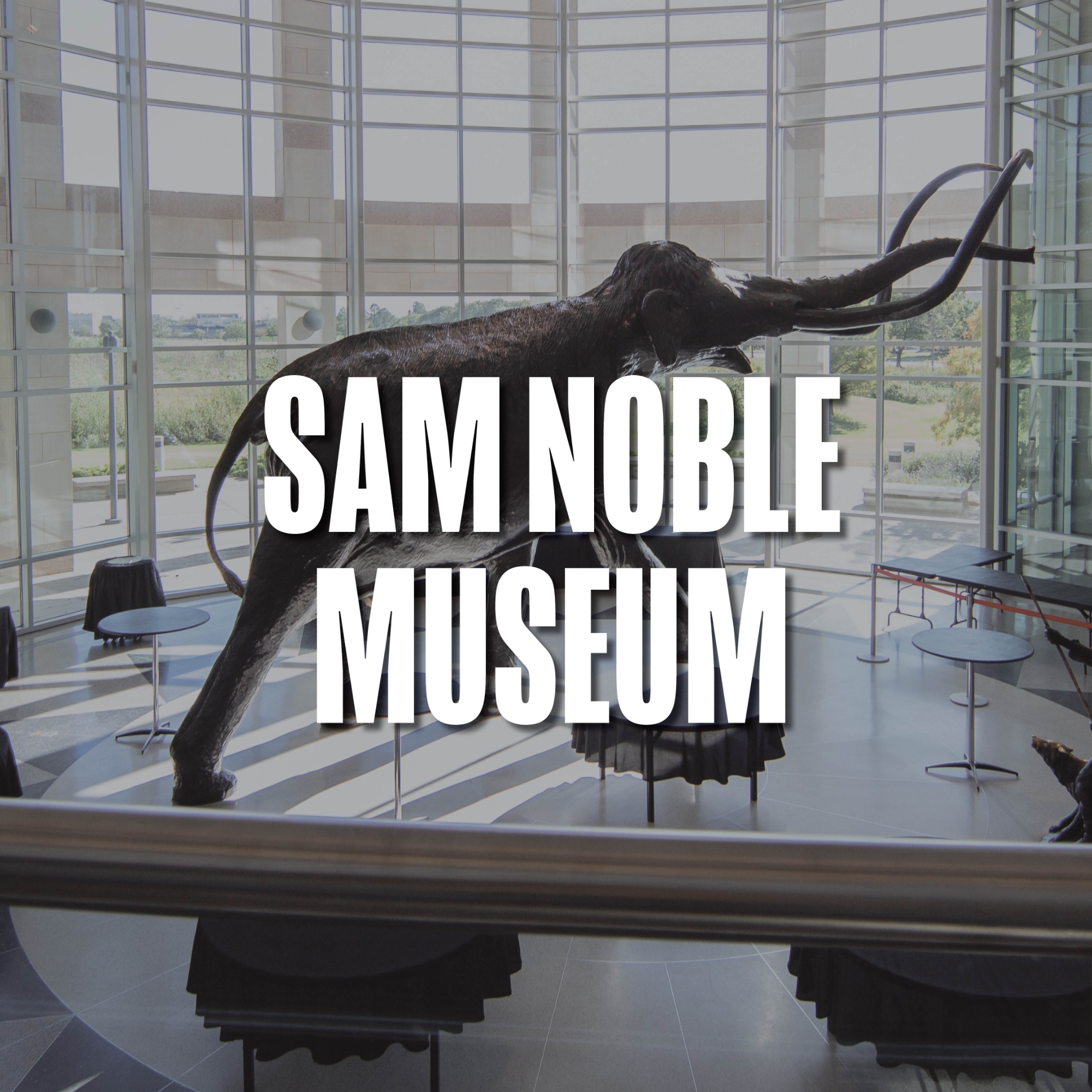Sam Noble Museum