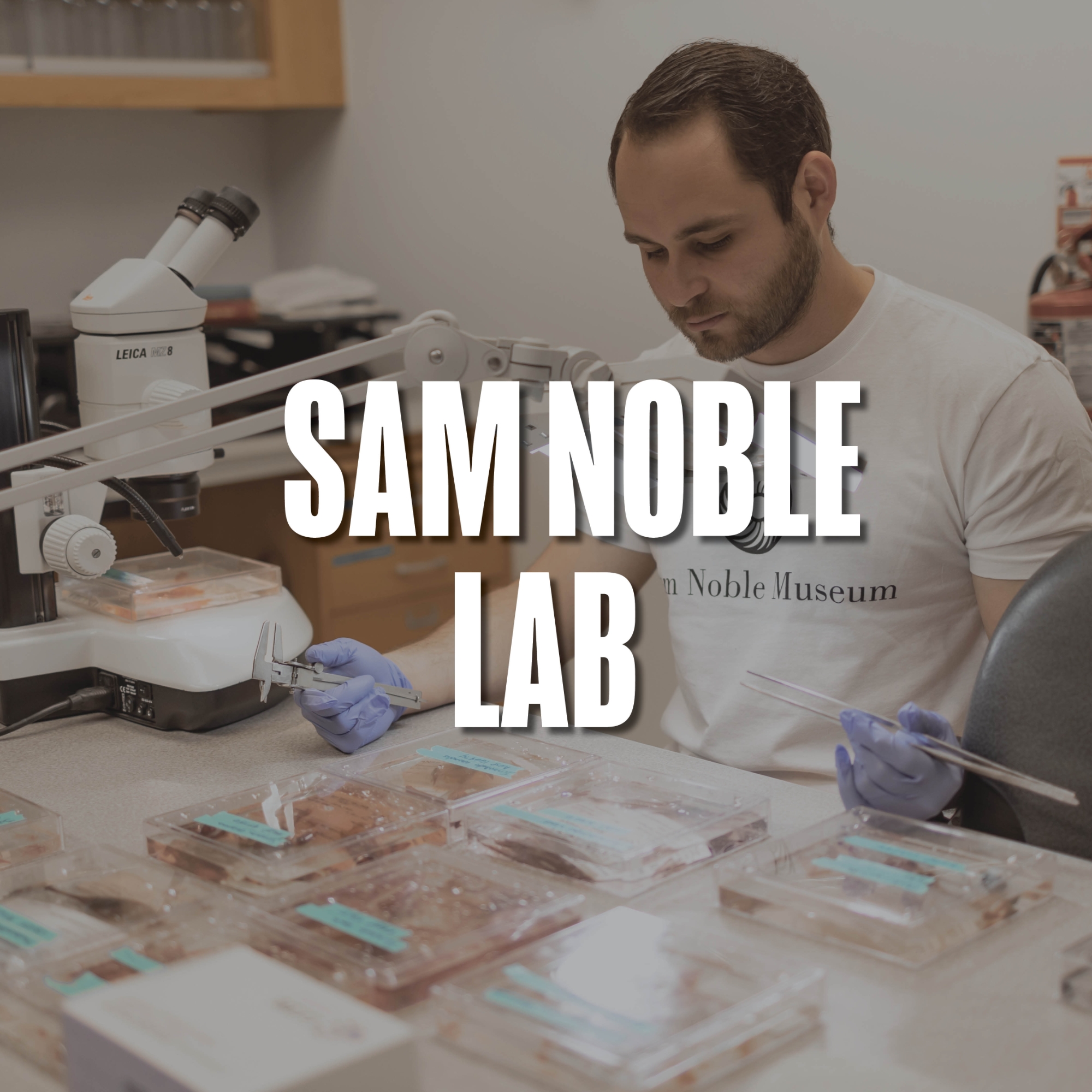 Sam Noble Lab