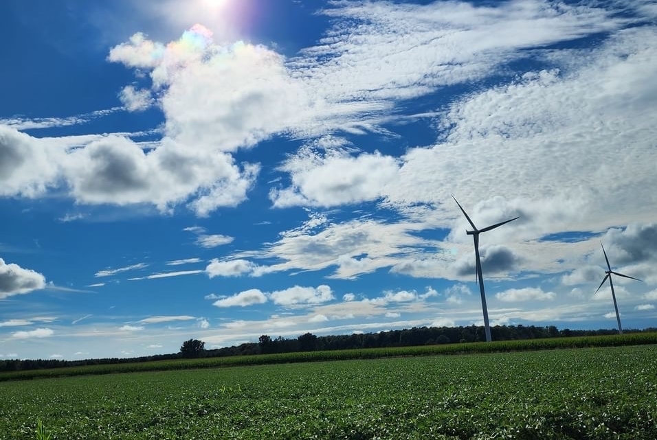 Landscape of windmills in a field.