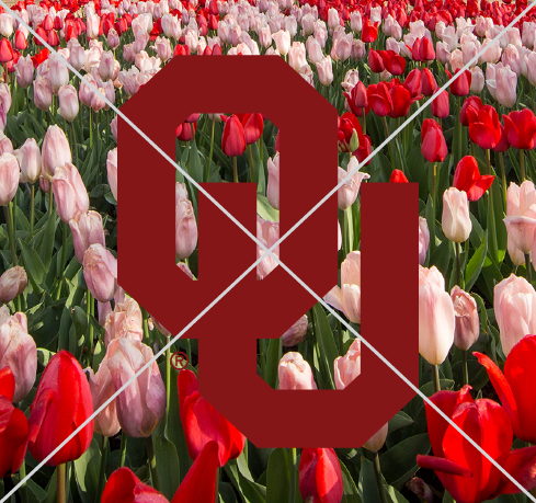Interlocking OU with an "X" drawn across it, over a background image of red and pink tulips, which demonstrates the wordmark over an image without a holding shape. Never place any marks without a holding shape on an overly complex background.