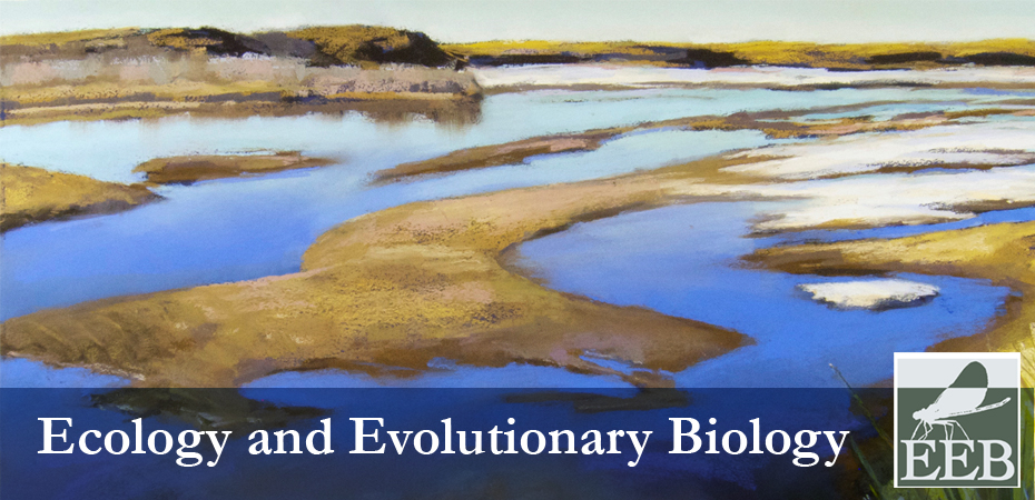 Ecology and Evolutionary Biology banner image