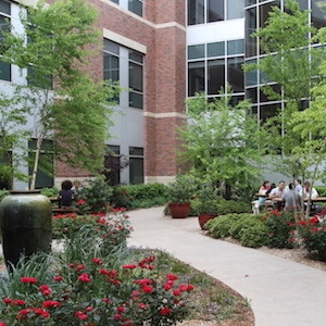 Stephenson Life Sciences Research Center picnic tables and garden