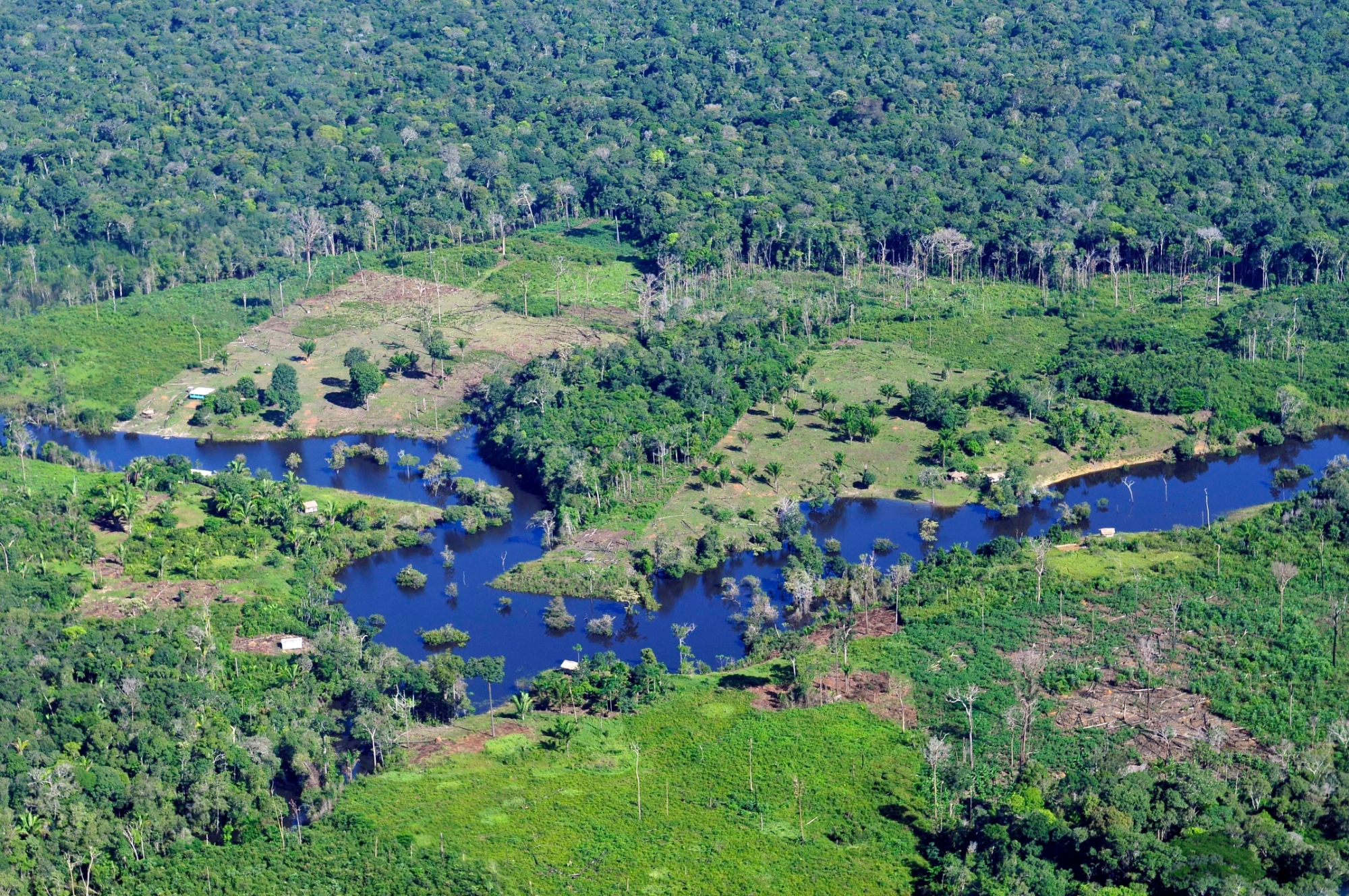 Aerial view of the Amazon Rainforest, near Manaus, the capital of the Brazilian state of Amazonas.