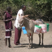Donkey carying water in Ethiopia