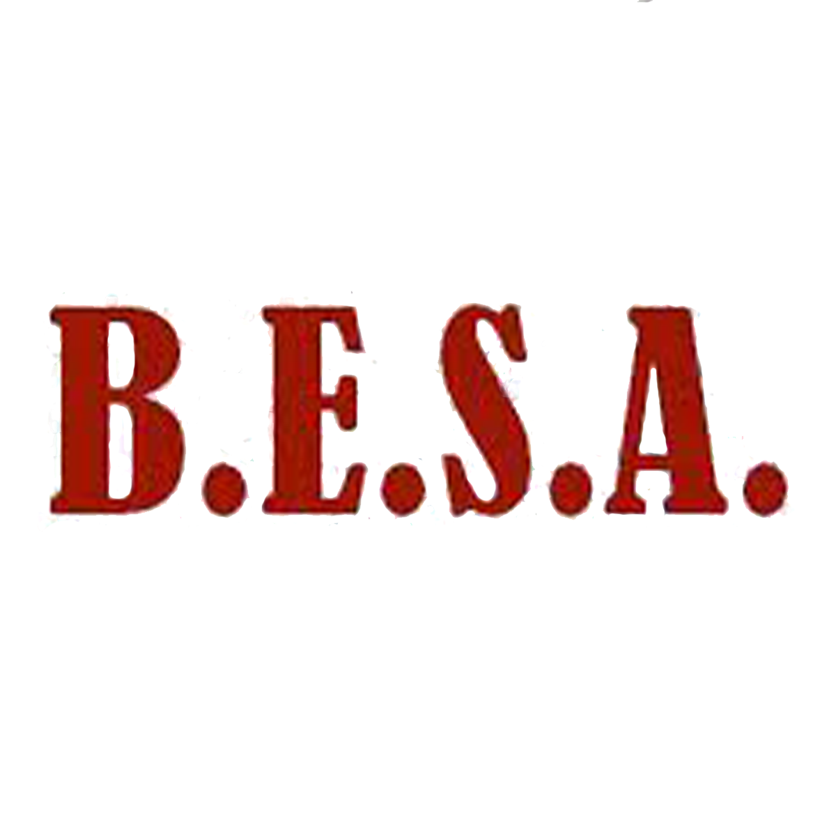 Biomedical Engineering Student Affairs (BESA) 