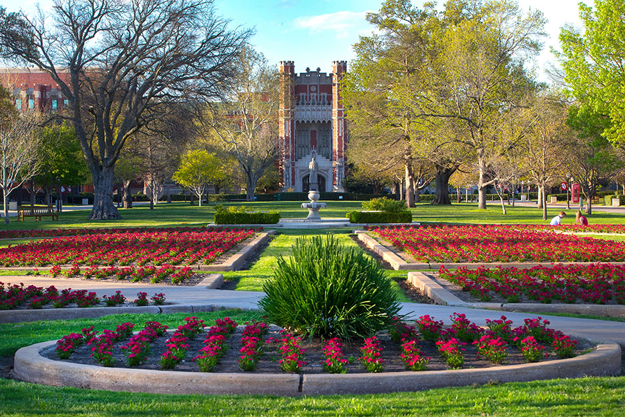 Spring mums on south oval