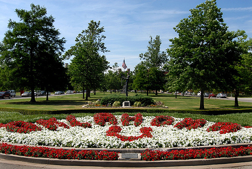 North oval with crimson and cream mums. 