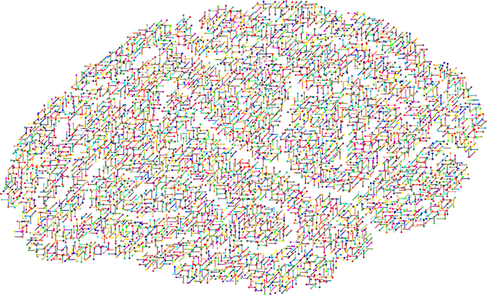  a graphic of the brain