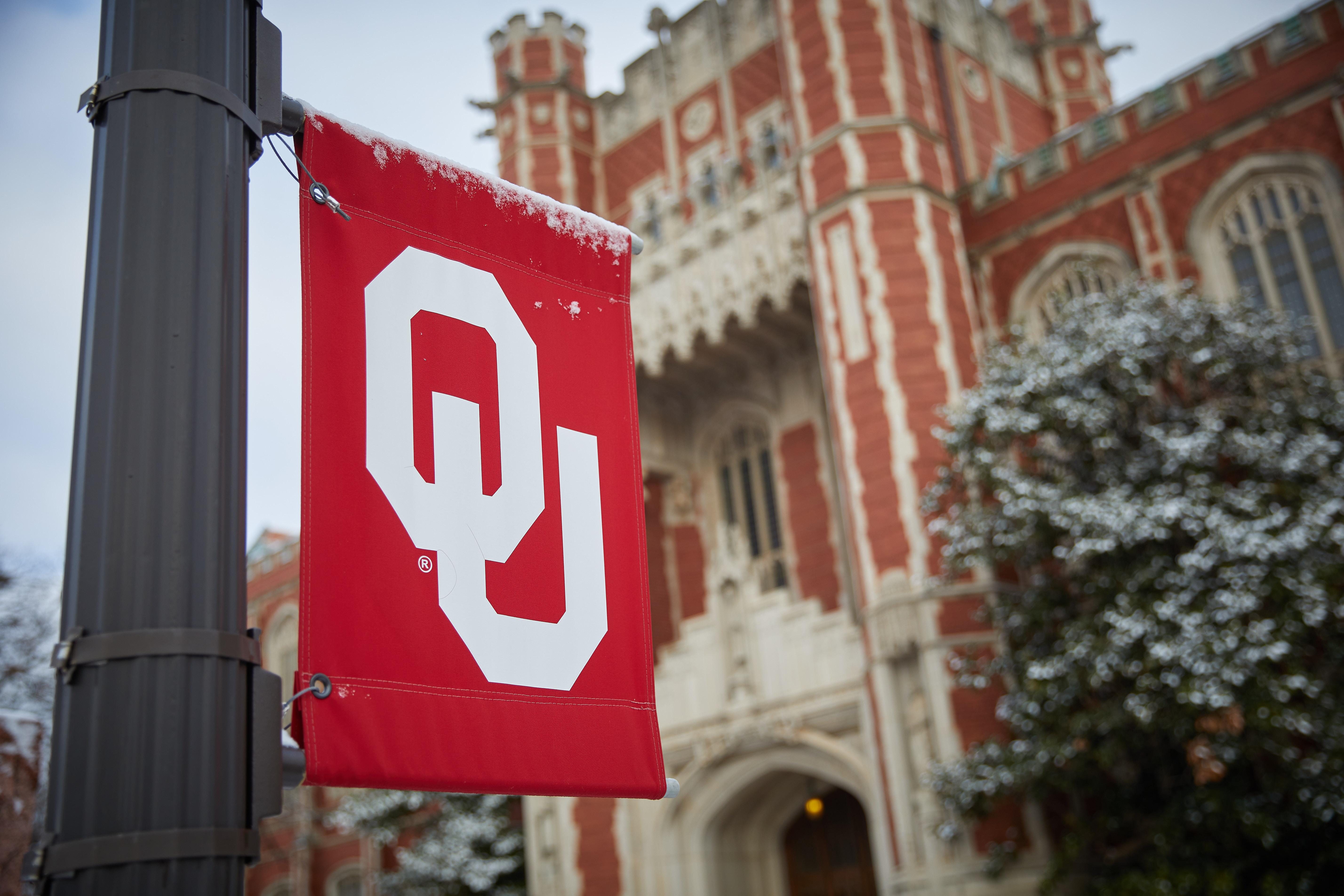 OU flag on a light pole in the winter.