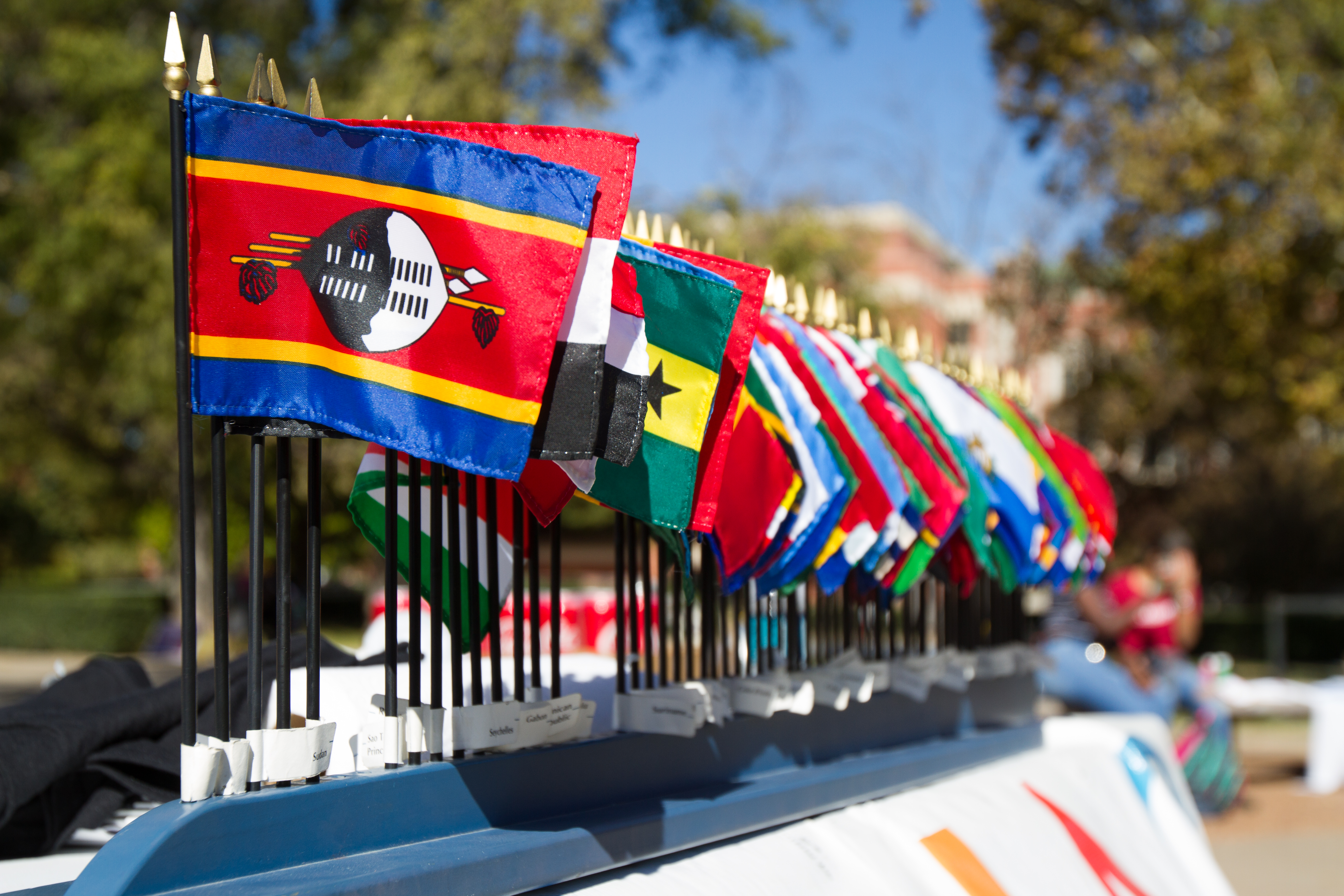 row of various countries' flags