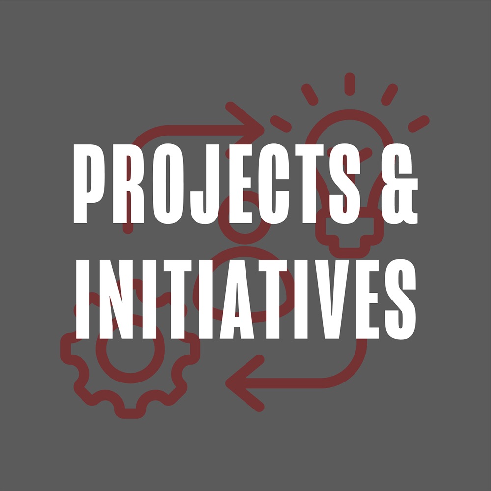 Projects & Initiatives Icon