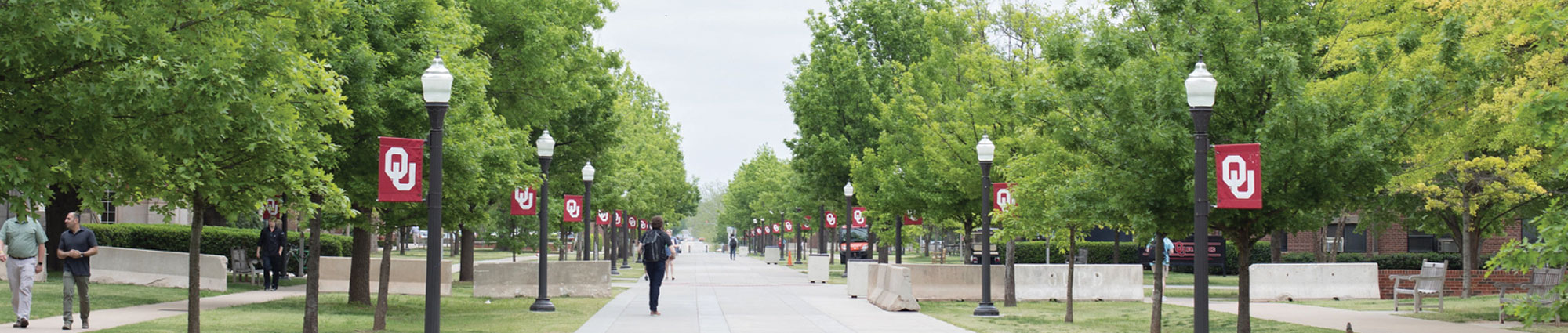 sidewalk with many trees and lampposts with OU flags on each side