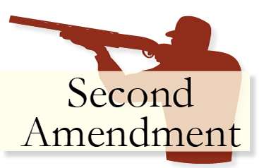 Second Amendment Icon