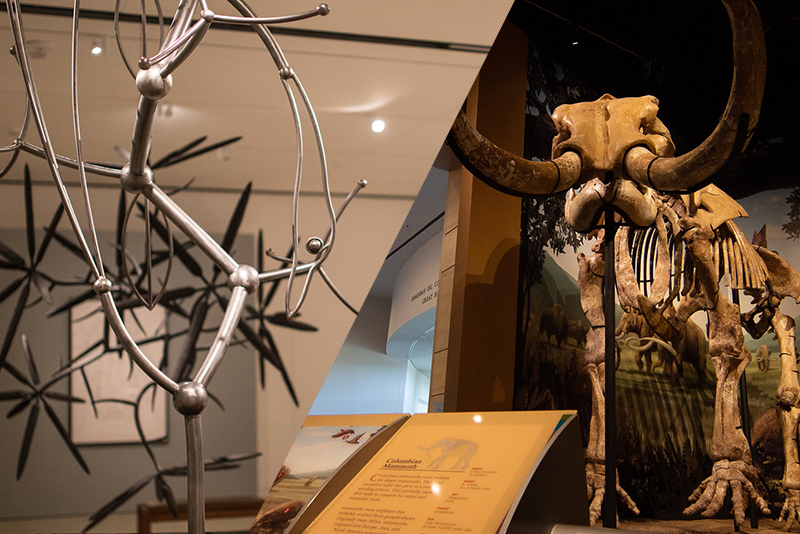 split image of exhibits at the Fred Jones (metal sculpture) and Sam Noble (mammoth skeleton) Museums