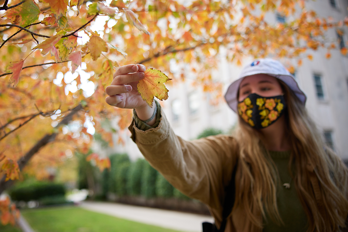 A masked OU student holds aloft a golden, fall maple leaf