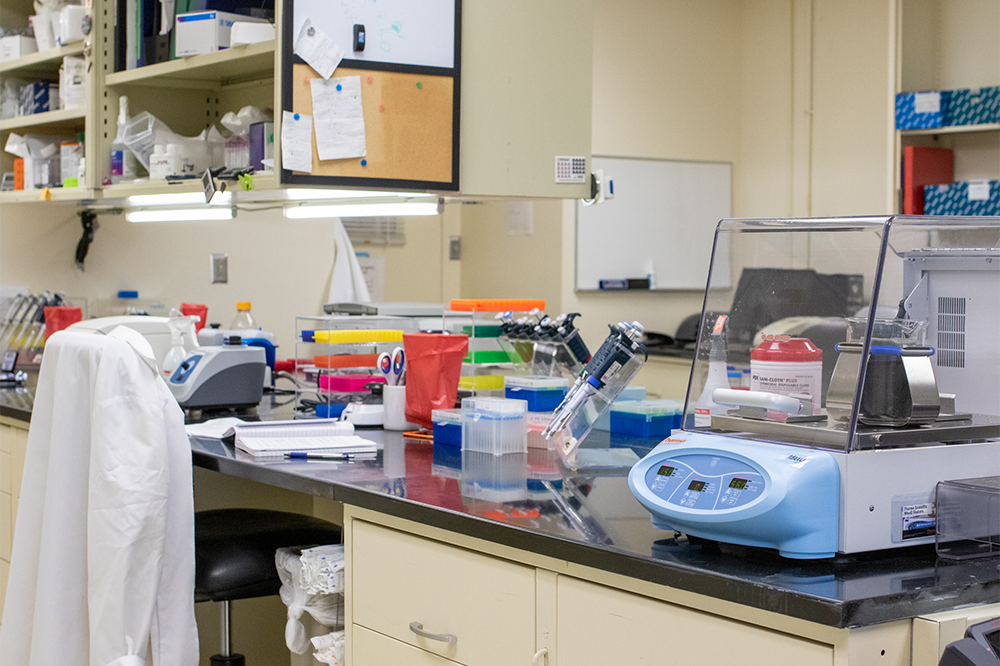 photo of lab counter with tools and samples arrayed, a lab coat hangs on the back of a chair