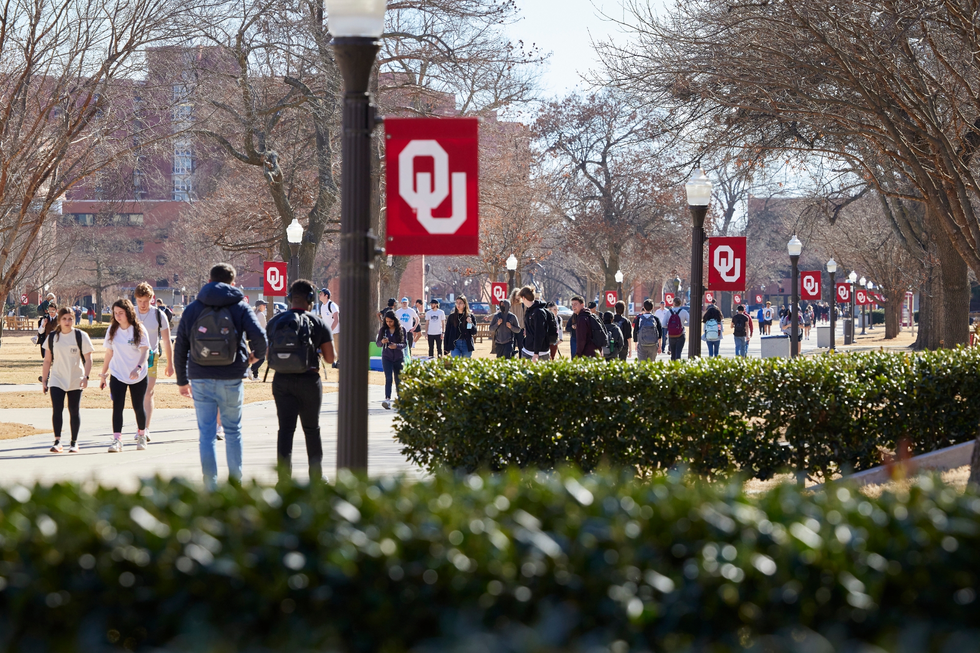 Students walking on campus near the south oval 