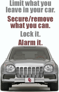Limit what you leave in your car. Secure/remove what you can. Lock it. Alarm it.
