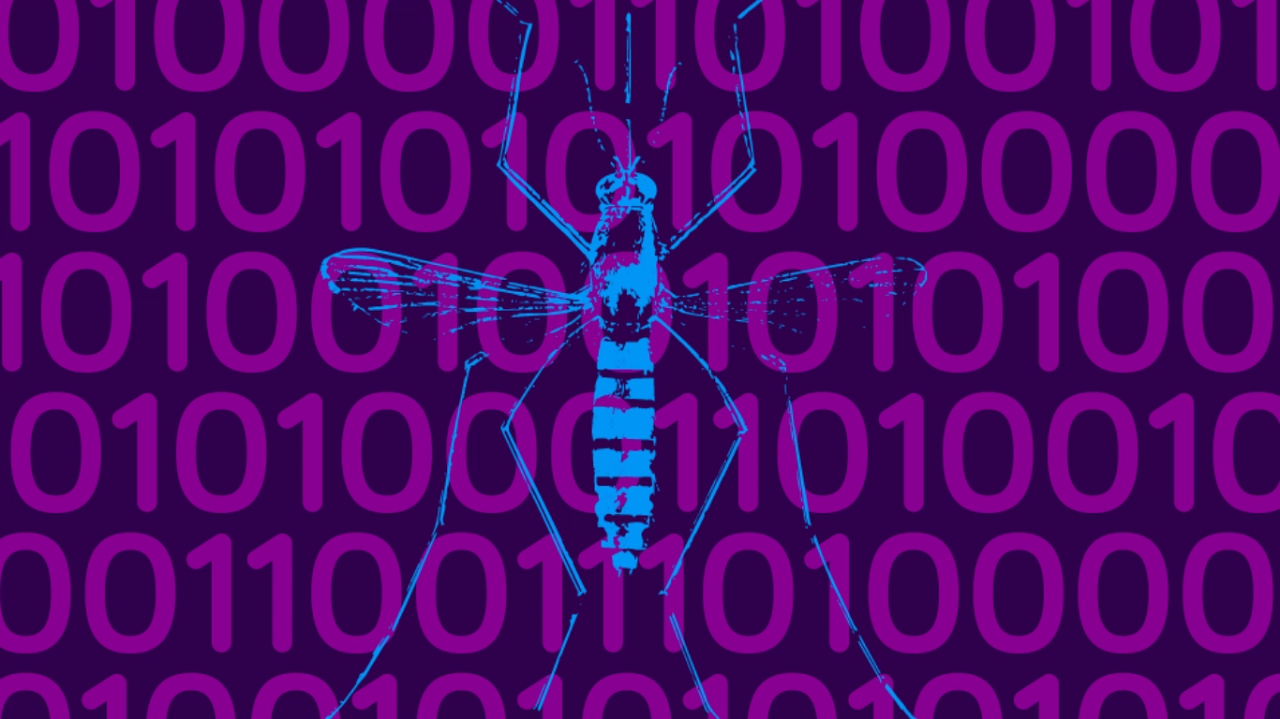 mosquito drawing on binary code