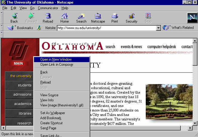 Frames Example  Netscape Software Set Up