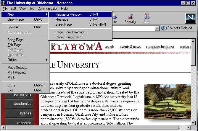 Netscape Browser  Open Frame in New Browser Window