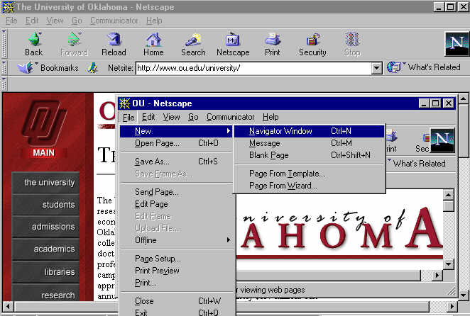 Frame Example  Open New Netscape Browser Window