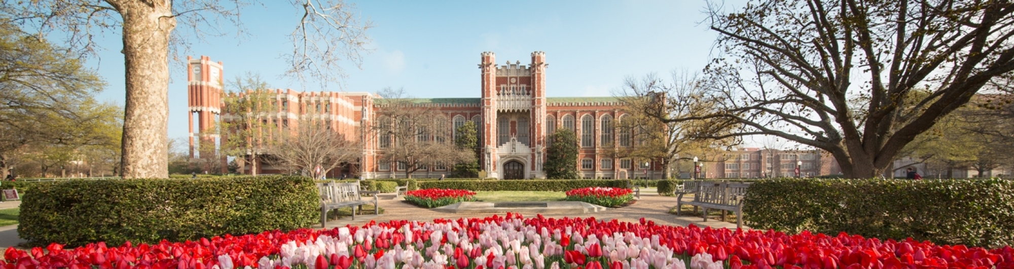 OU Campus Bizzell Flowers