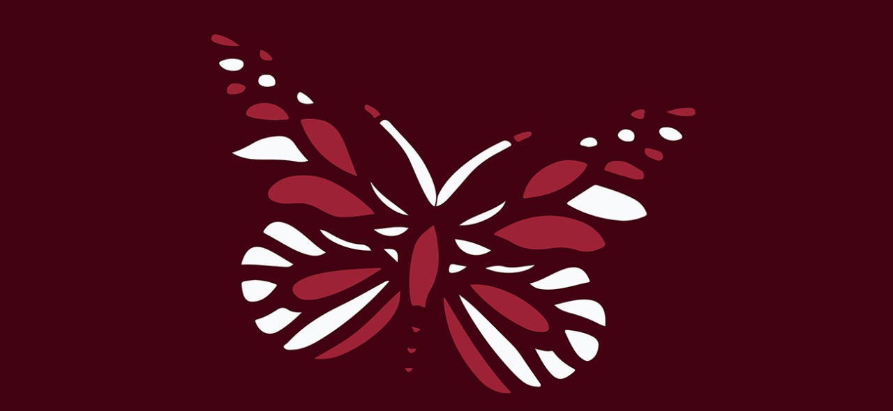 Butterfly graphic