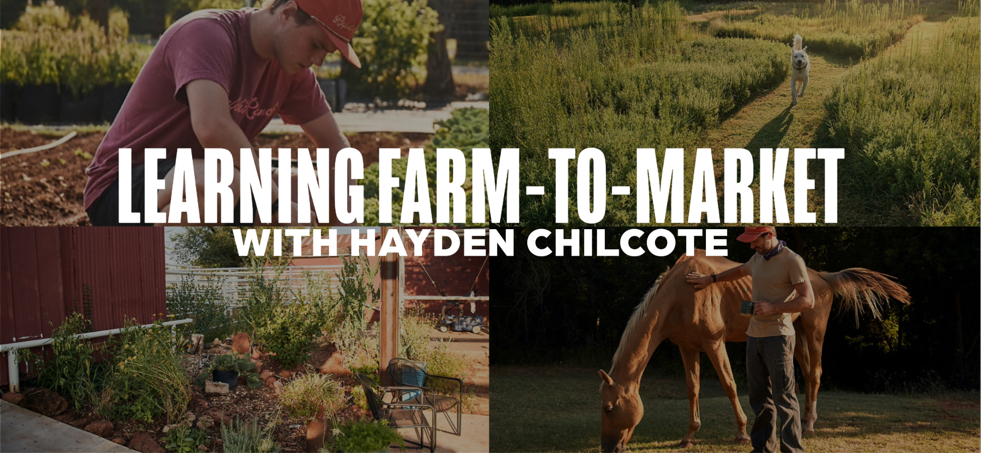 Learning Farm-To-Market with Hayden Chilcote