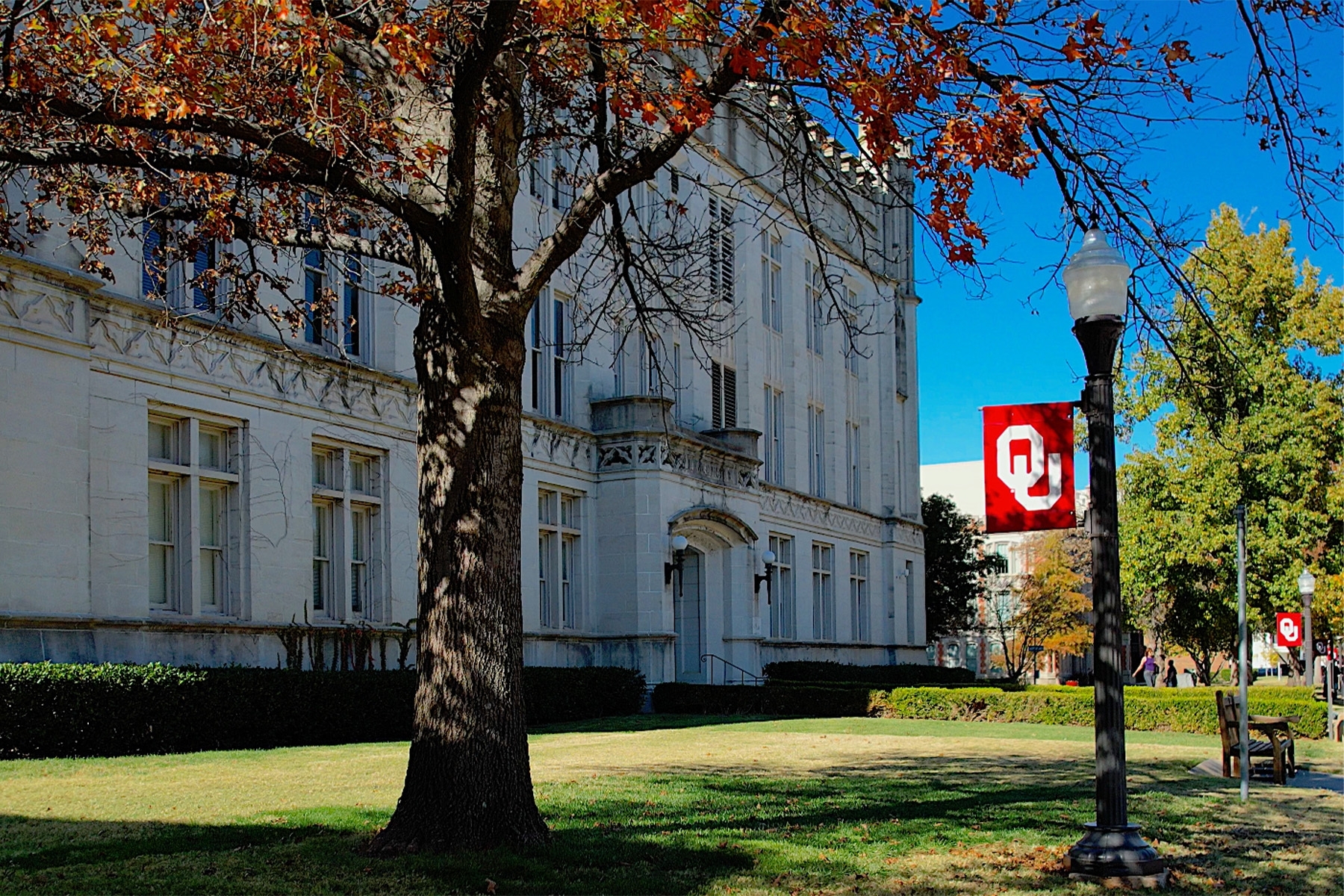 Scenic photo of a campus building with tree and OU banner on light pole.