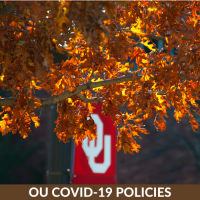 OU Flag hanging from a tree with orange leaves. OU COVID-19 Policies.