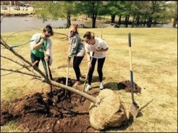 DGES Advisor Jamie Steele (left) helps two environmental sustainability majors plant a tree on Arbor Day.