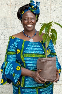 Dr. Wangari Maathai holding a potted plant 