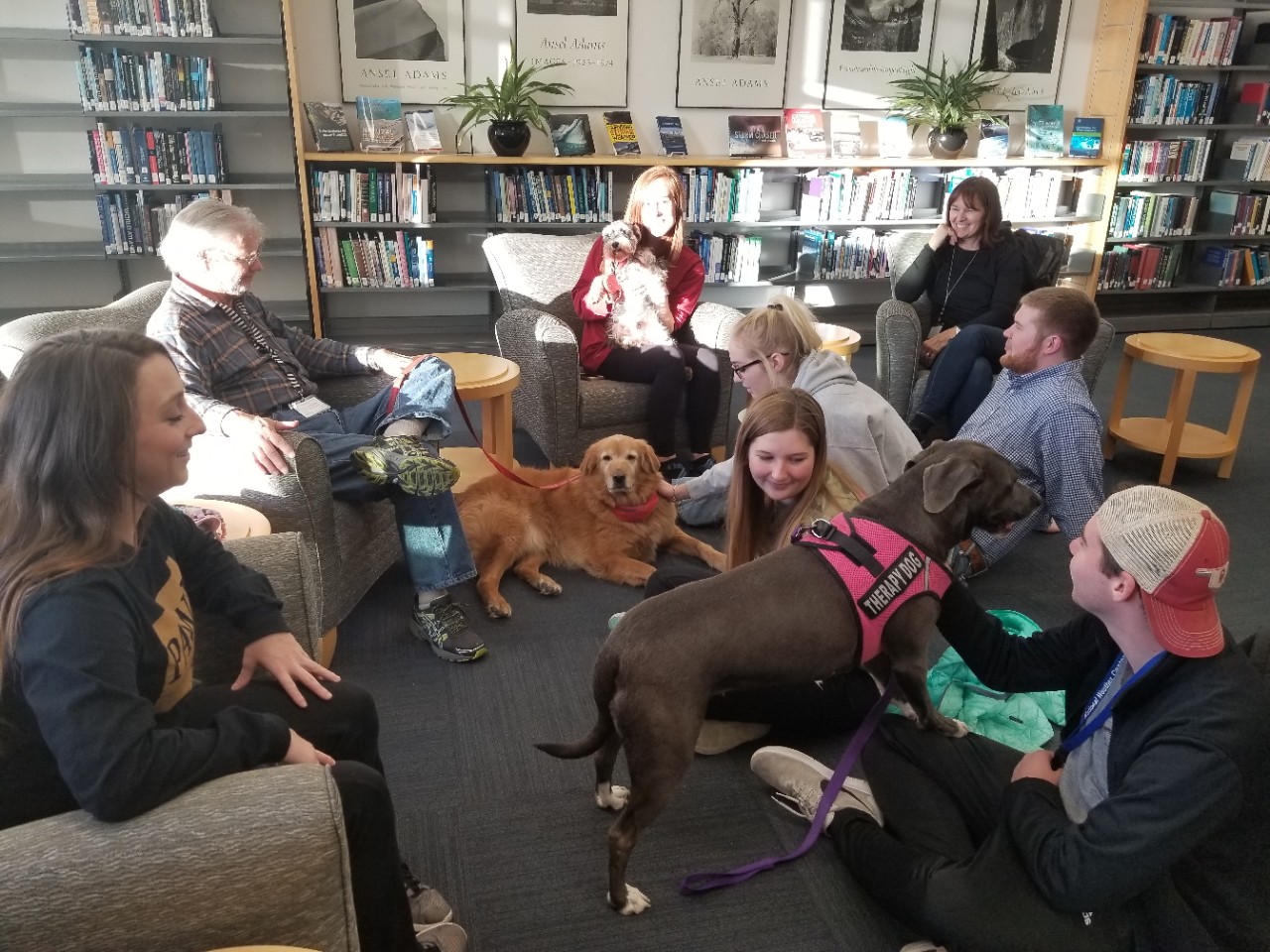 Three therapy dogs work provide stress release for a group of A&GS students in the National Weather Center Library. 