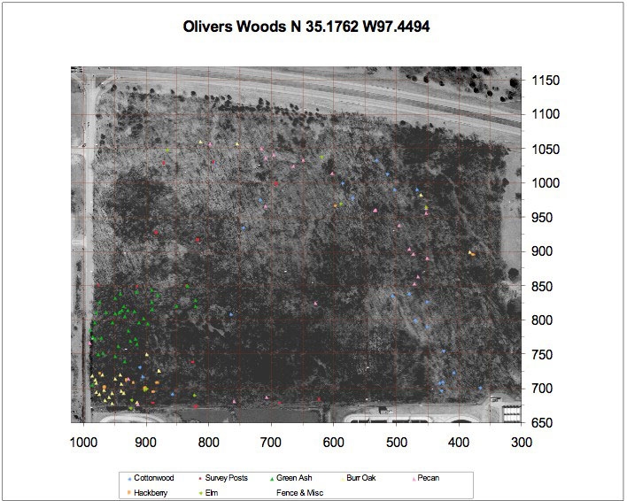 Aerial Image of Oliver's Woods with Trees Plotted