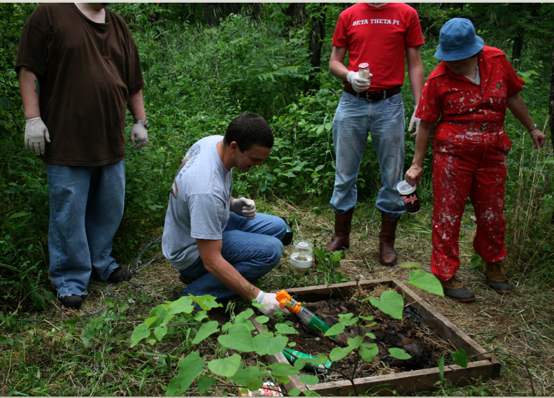 Students examine a plot in Oliver's Woods.