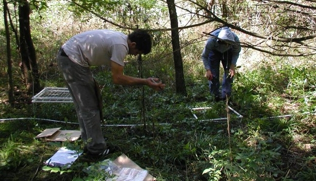 For Teaching & Research Two students measure plants at Oliver's Woods.