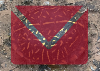 Transparent mail logo over image of an ornate box turtle found at Oliver's Woods.