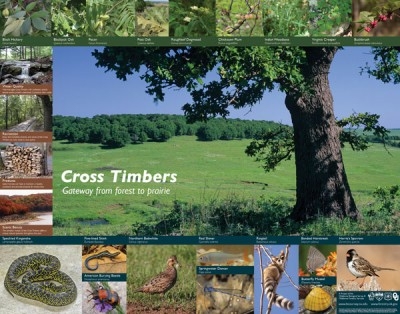 Thumbnail of Cross Timbers Poster.