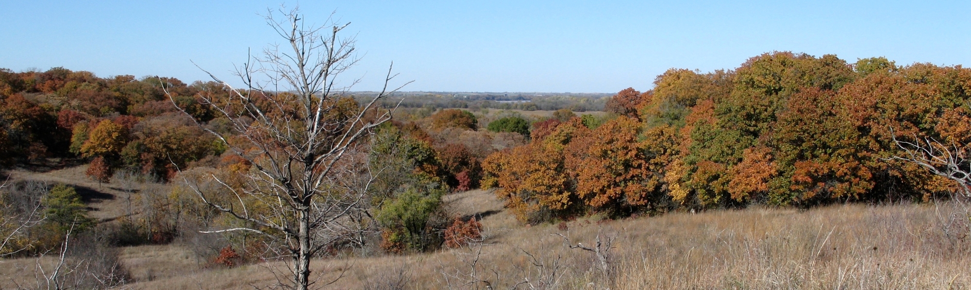 A landscape view of colorful fall foliage of the Cross Timbers