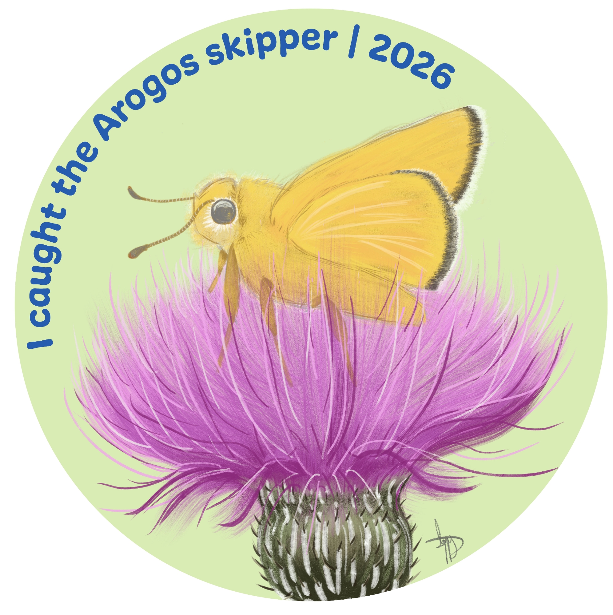 Arogos skipper on a coneflower