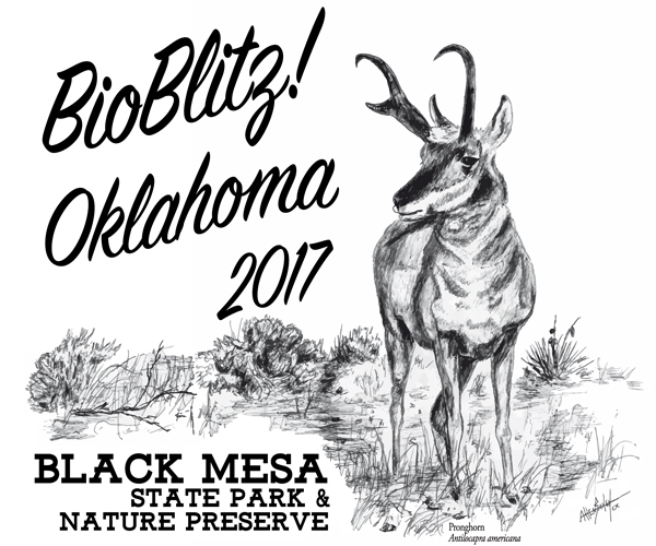 BioBlitz! 2017 Pronghorn logo