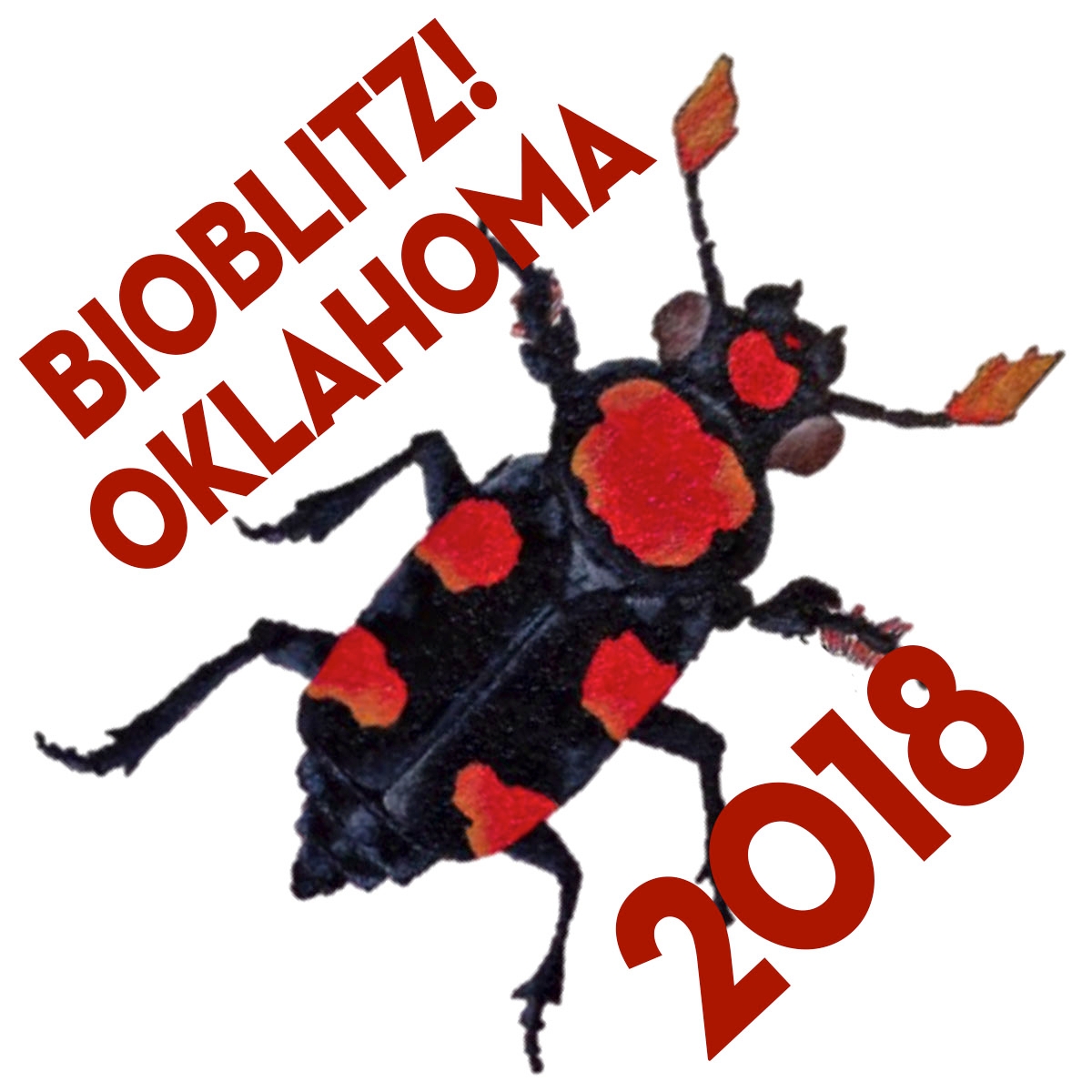 BioBlitz! OK 2019 Burying Beetle Logo