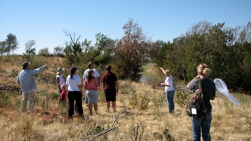 Group of citizen scientists on a butterfly walk at BioBlitz