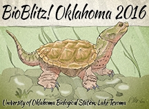BioBlitz! OK 2016 Snapping Turtle Logo