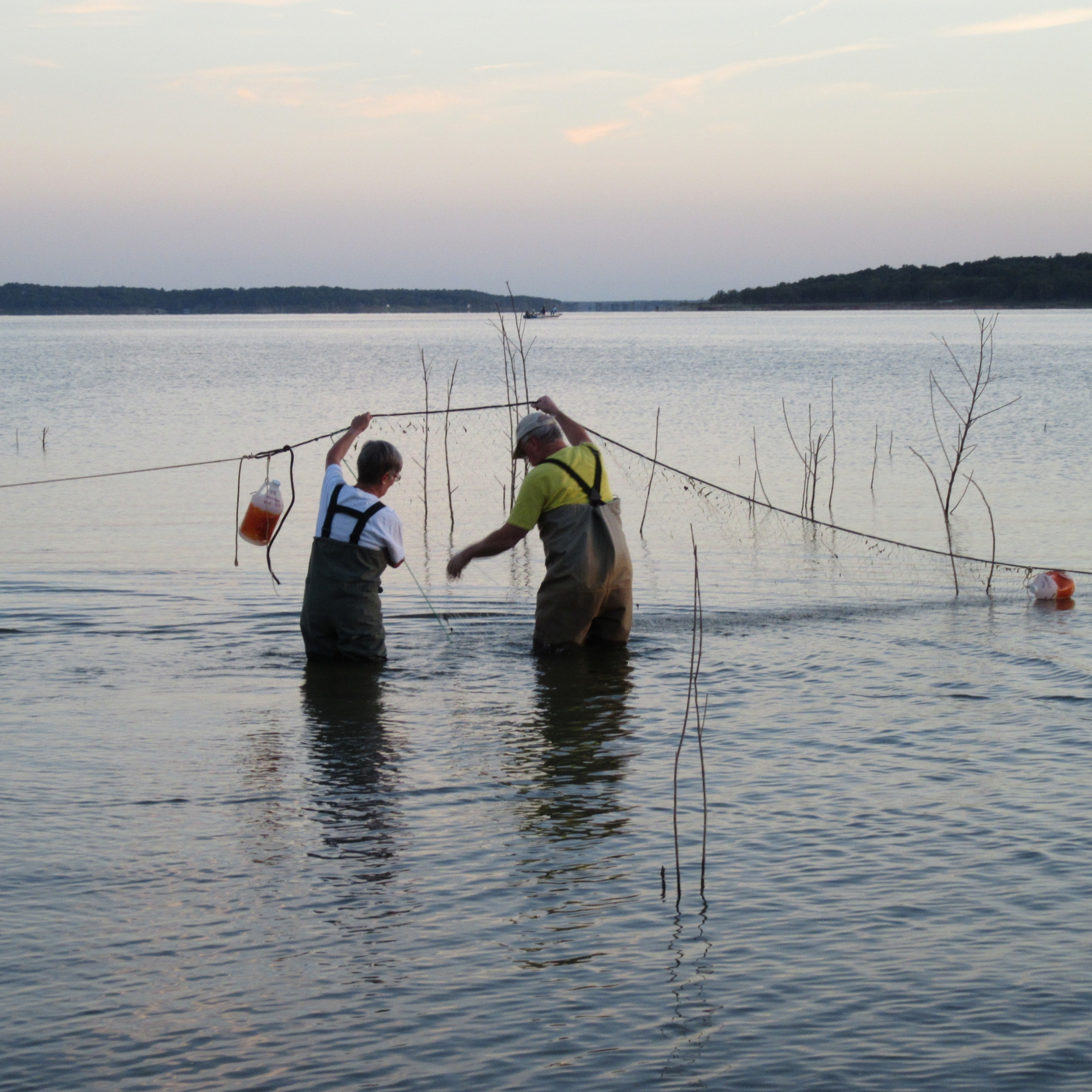 Seining for fish in Lake Texoma at Biological Station