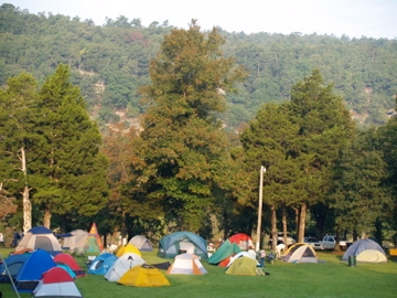 Tent city in the group camp at BioBlitz 2009
