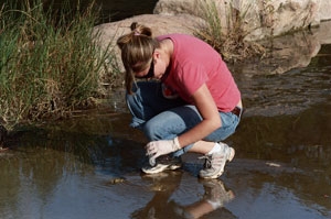 Microbiologist collects a water sample for analysis during BioBlitz.